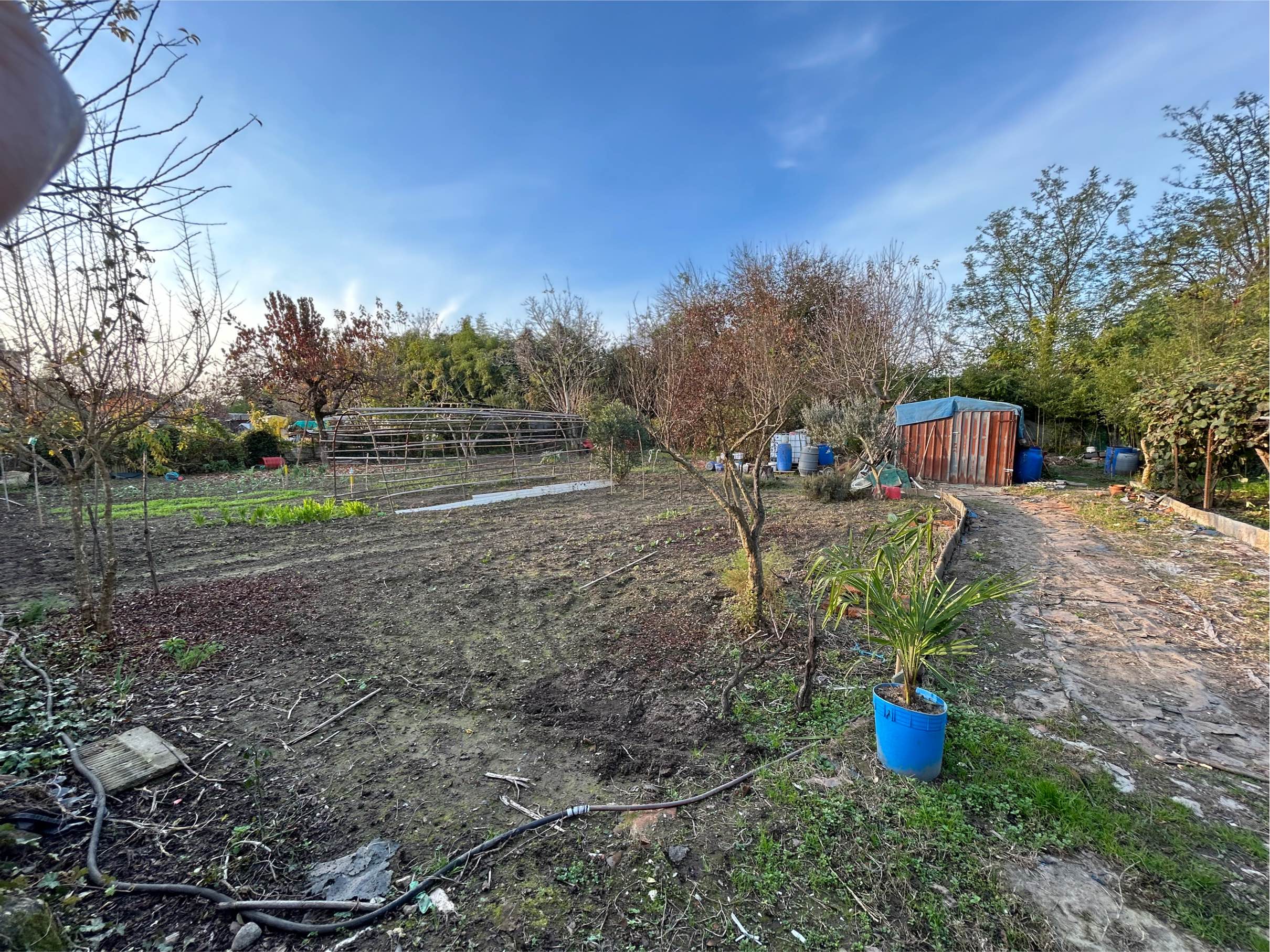 Terreno agricolo di mq.1000 recintato con piante da frutta libero subito